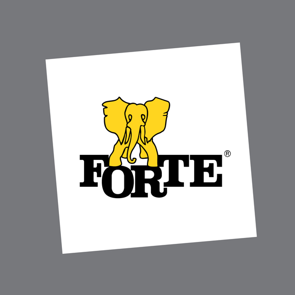 Fabryki Mebli Forte